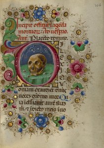 A Skull in a Rocky Field by Taddeo Crivelli